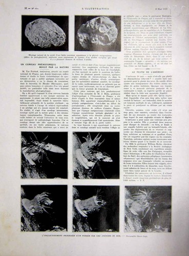 Original old vintage print - old,