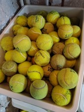 30 used tennis balls for dogs