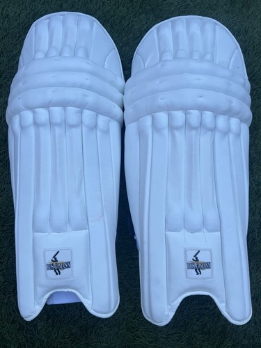 Cricket batting pads - batting,
