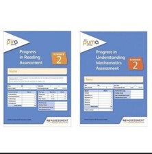 RISING STARS  YEAR 2 PUMA & PIRA (summer). with ANSWER SHEETS.