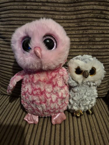 Beanie boo owl - owl, toy