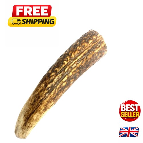 Hypo allergenic split - split, antler