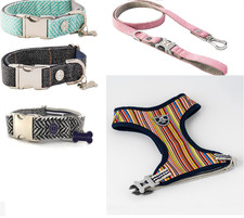 Hugo & Hudson London | Dog