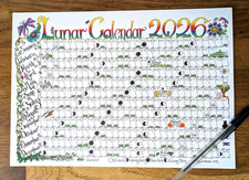 2026 Moon Calendar A4 wall