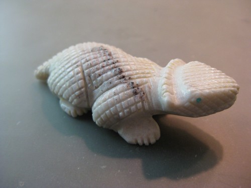 Small zuni horned - , toad/lizard