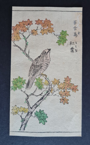 Antique 1890 japanese - antique,