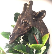 Giraffe Bust Head Interior