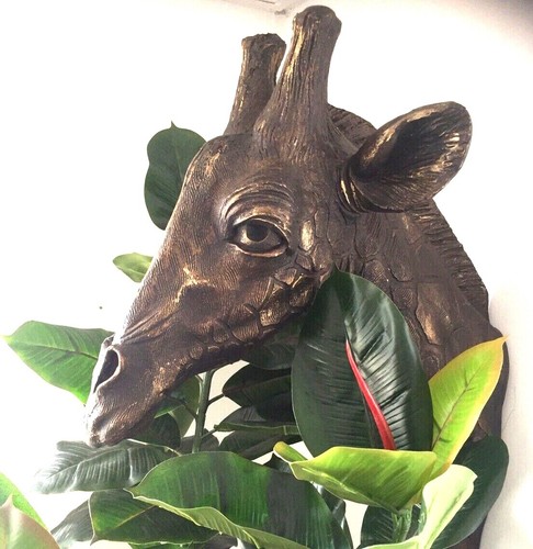 Giraffe bust head interior - giraffe,