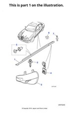 Jaguar Genuine Body Side