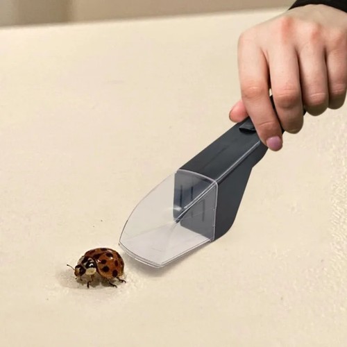 Handheld insect catcher spider - insect,