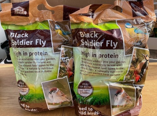 Black soldier fly larvae 2kg - soldier,