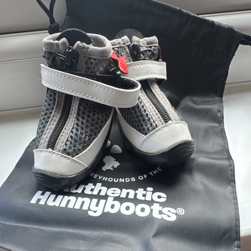Hunnyboots greyhound dog - greyhound,