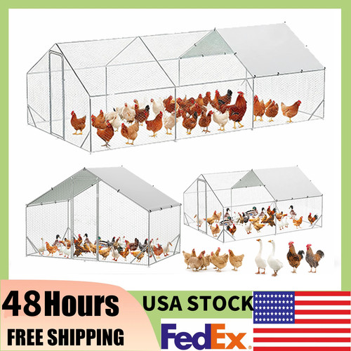 Large sizes metal chicken - large, 3