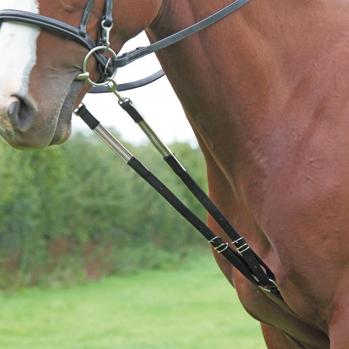 Shires original harbridge - shires,