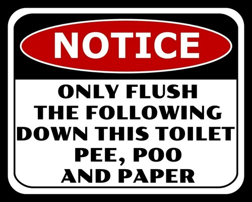 Only flush the following down - flush,