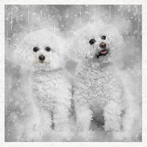 Dog bichon frise fabric - dog,