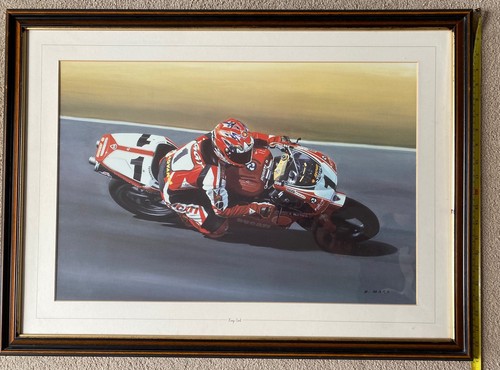 Carl fogarty ducati 996 - carl,