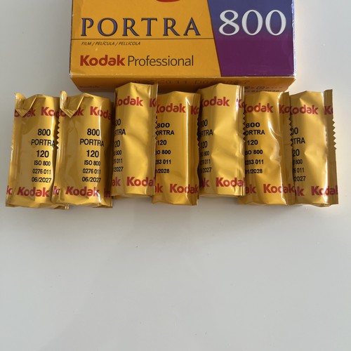 Kodak portra 800 - 120,, medium
