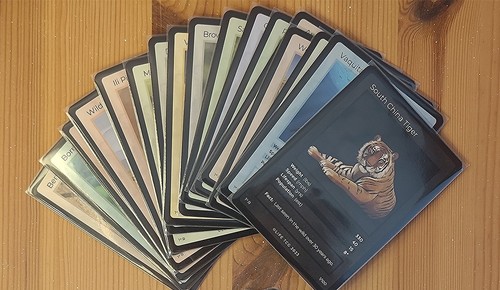 Life tcg first - life,