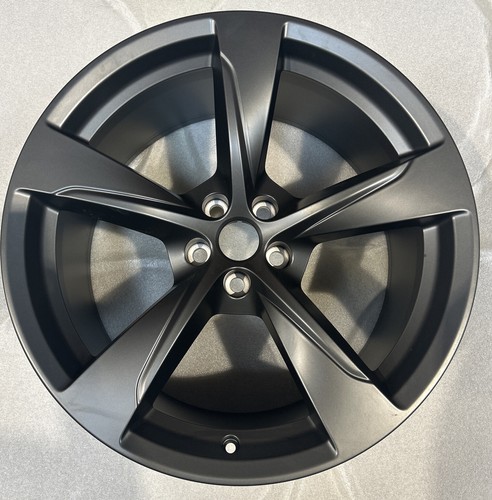 Genuine jaguar type x - jaguar, 20”
