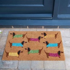 Dachshunds Colourful Design