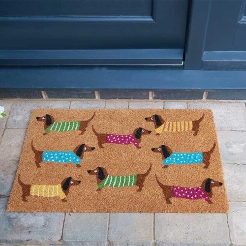 Dachshunds colourful design - colourful,
