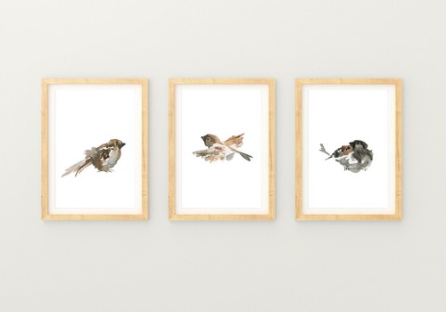 Watercolour small bird prints