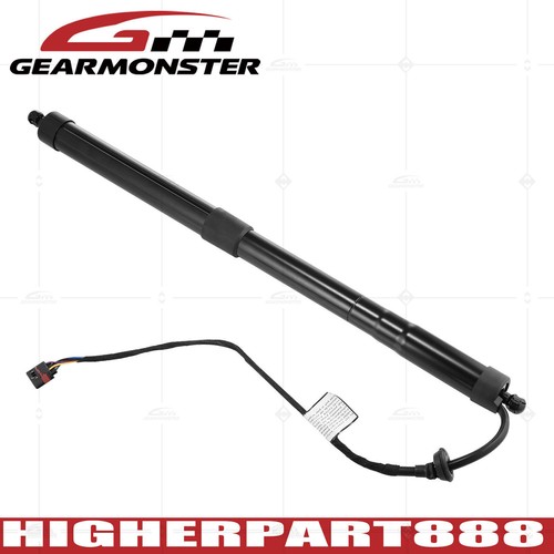 Auto tailgate gas - auto, struts