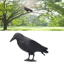 Decoy Crow Bird Raven Scare