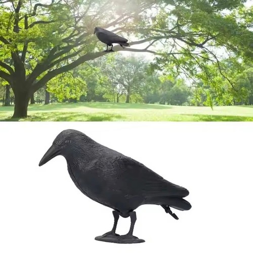 Decoy crow bird raven scare - crow,