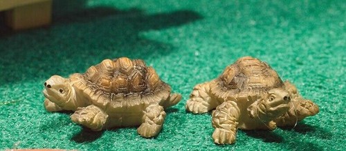Terry jerry tortoises - &, dolls