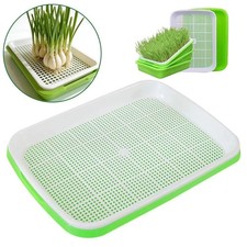 Hydroponic microgreens - hydroponic,