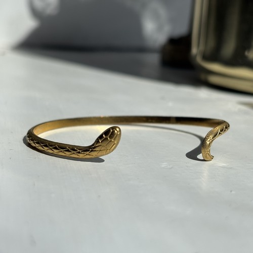 Snake band elegant detailed - elegant,