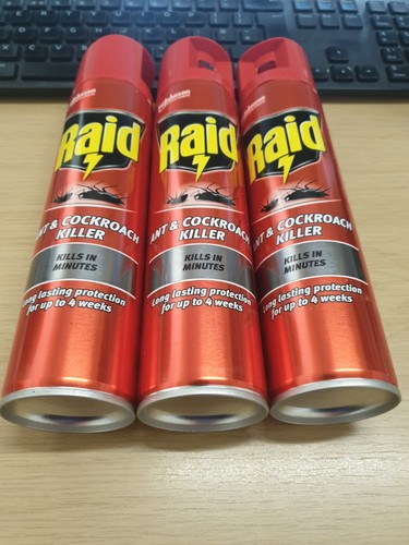 Raid long lasting ant - long,