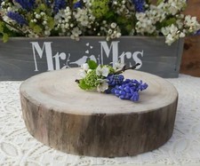 8-9" DRIFTWOOD LOG SLICE ROUND