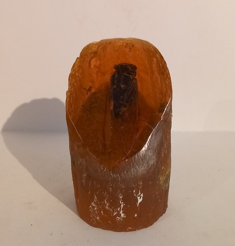 Large real amber paperweight - real,