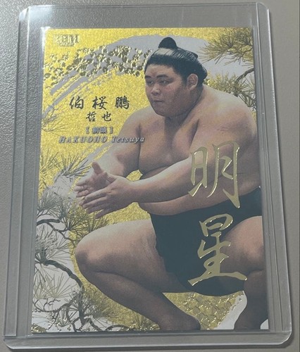 Grand sumo wrestler - grand,