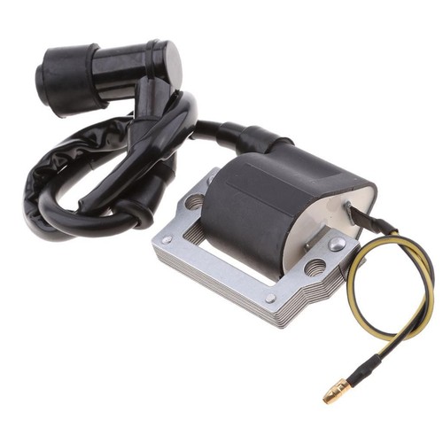 Ignition coil for - ignition,