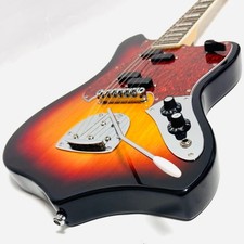 Ultra Rare EASTWOOD GUITARS