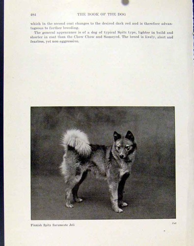 Original old vintage print - old,