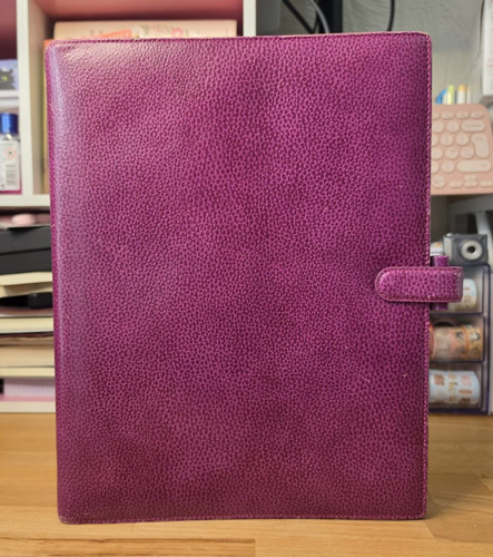 Filofax finsbury raspberry - filofax,