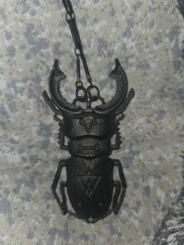 Restyle black beetle - beetle, necklace