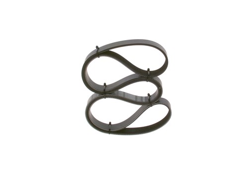 Bosch ribbed belt - v-ribbed, peugeot