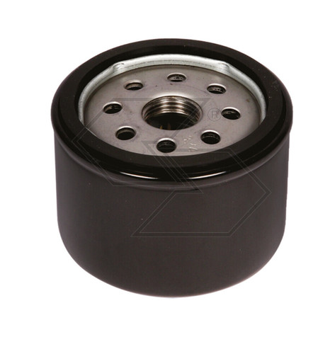 Oil filter tractor goldoni - filter,