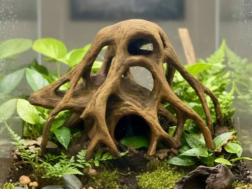 Reptile aquarium mangrove - reptile/aquarium, root