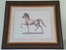 Domenico Marchetti, Stauesque Horse Laura Ashley Interiors Framed Print, Large