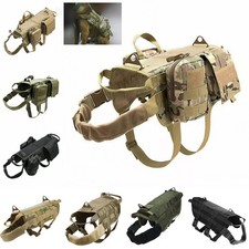 Tactical Dog Hunting Training