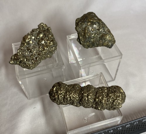 Bundle collection pyrites - bundle,