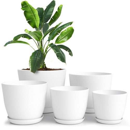 Plant pots indoor with - indoor,