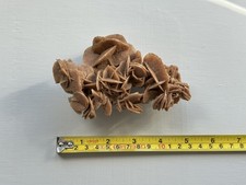 Desert rose selenite - rose, gypsum